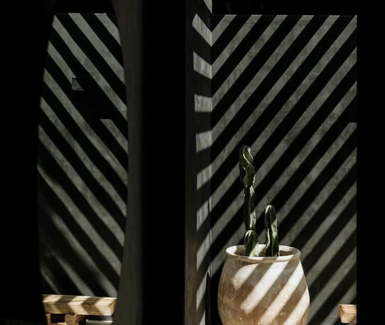 Mar Y Miel Noir Modern Daire Tulum